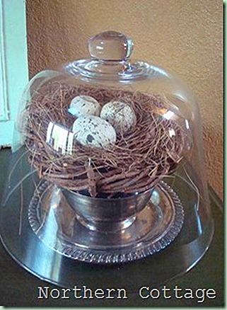home-119_thumb