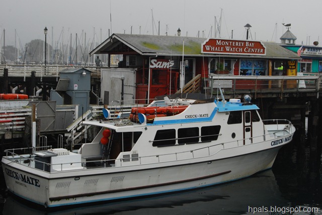 [DSC_0261[3].jpg]