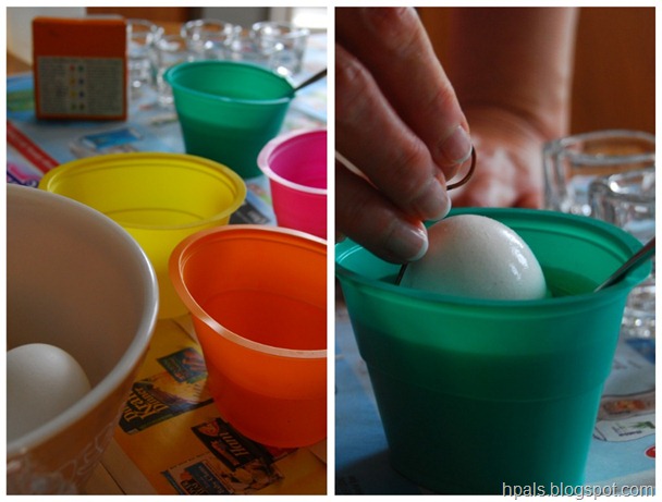 egg1