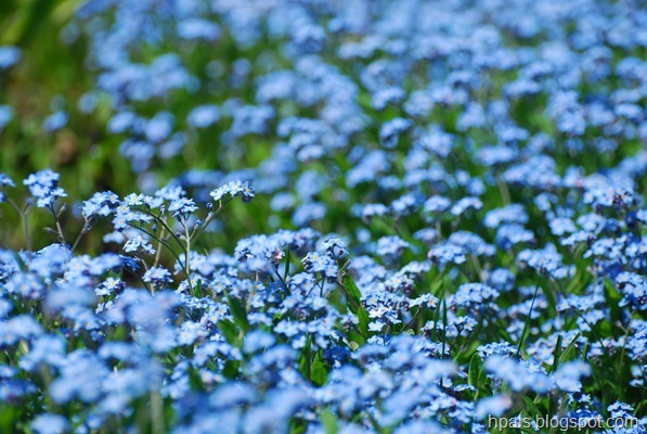DSC_1048 DSC_1048