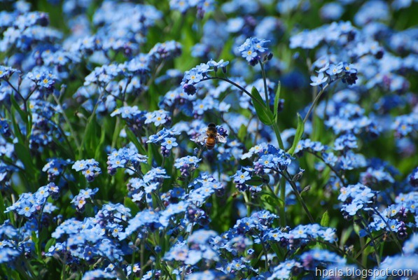 DSC_1051 DSC_1051