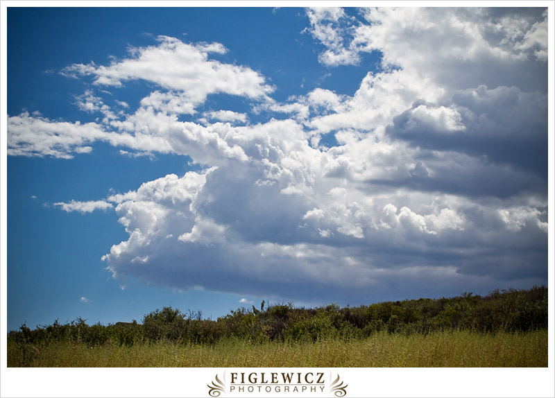 FiglewiczPhotography-AZ-0022.jpg