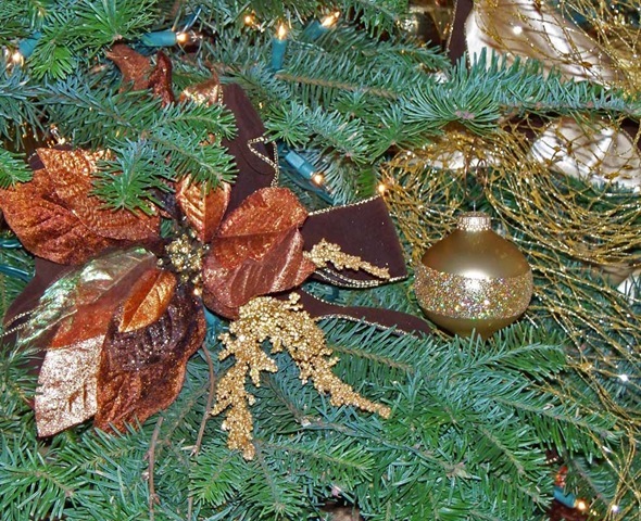 [100_1126w[2][7].jpg]