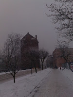 20100201458.jpg