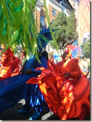 DSCF7497