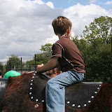 IMG_7247.JPG