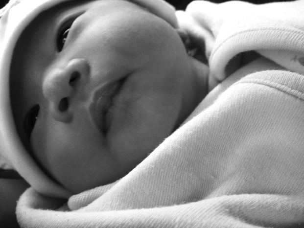 [DSC04614[4].jpg]