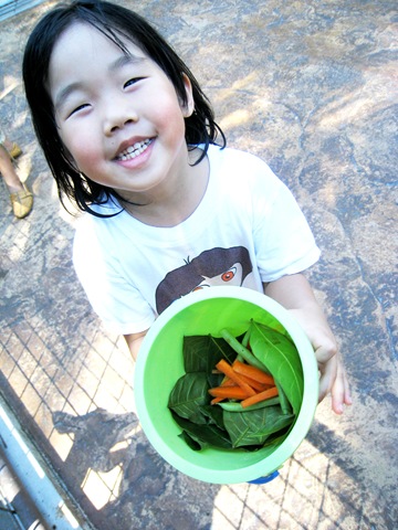 [26 Nov 072[4].jpg]
