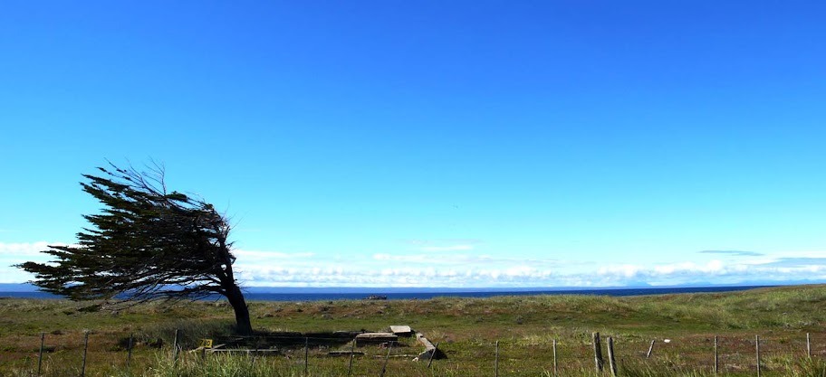 Photo of  05. Caseta en el Ripio - Estrecho de Magallanes 