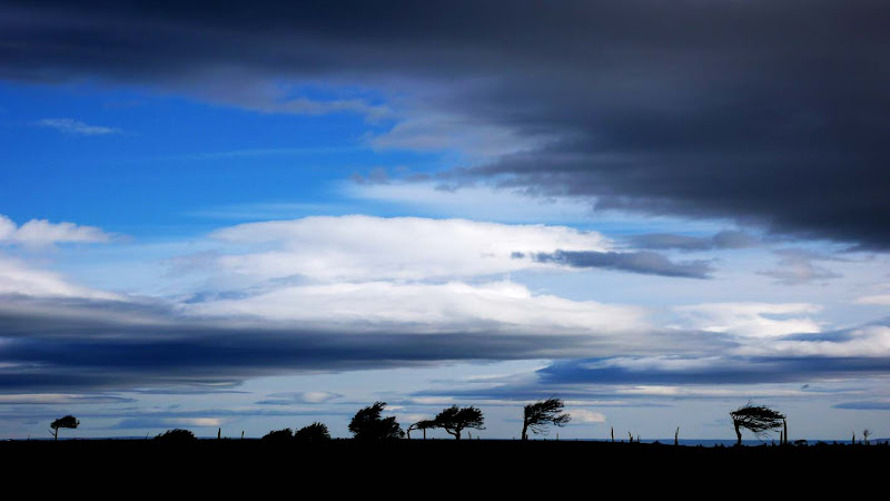 Foto de  09. Parada de Bus cerca de Rubens - Puerto Natales