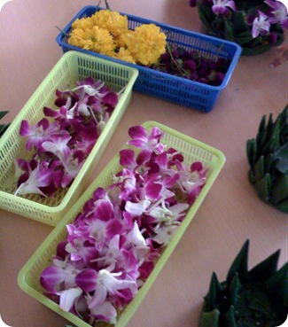 flowers for krathongs