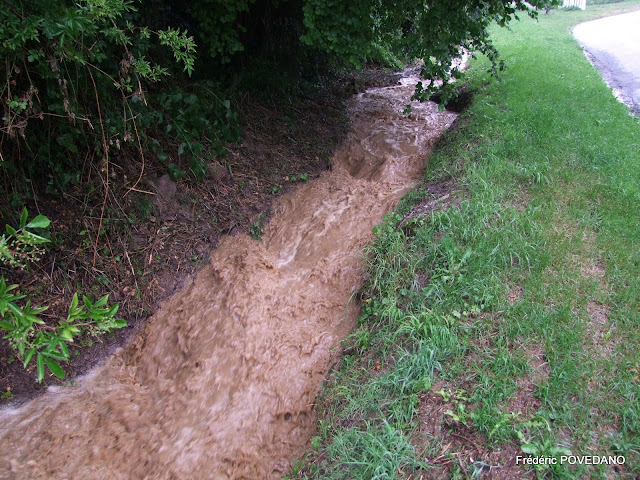 FPO2010_0702%28016%29.JPG