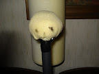 DSC03166.JPG