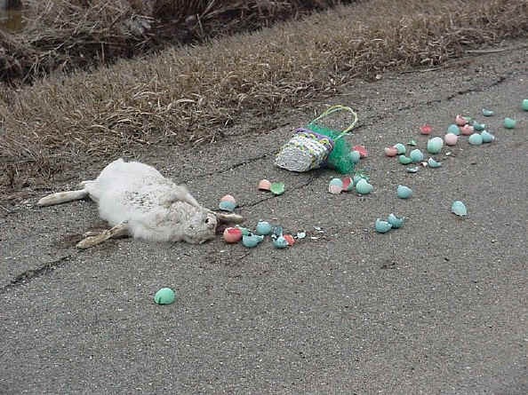[Dead Easter Bunny[17].jpg]