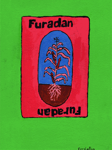 [FuradanCardMotion4.gif]