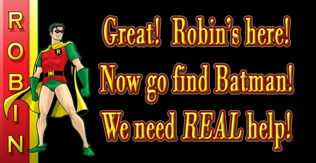 [Finished-Robin-01[5].jpg]