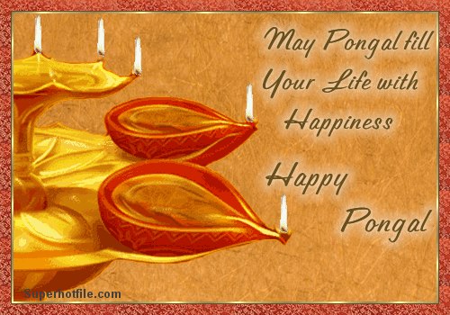 Image result for pongal wishes in tamil gif