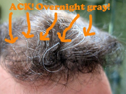 [overnight-gray-hair[5].jpg]