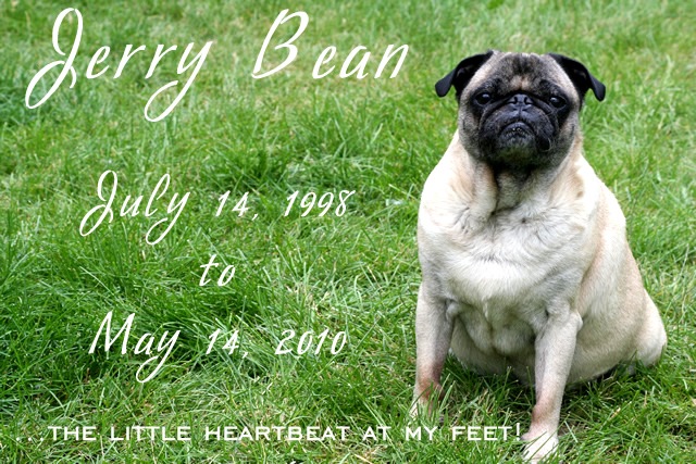 [JerryBean[3].jpg]