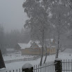 SDC10227.JPG