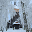 SDC10229.JPG