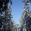 SDC10580.JPG