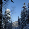 SDC10562.JPG