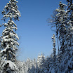 SDC10564.JPG