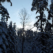 SDC10577.JPG