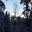 SDC10579.JPG