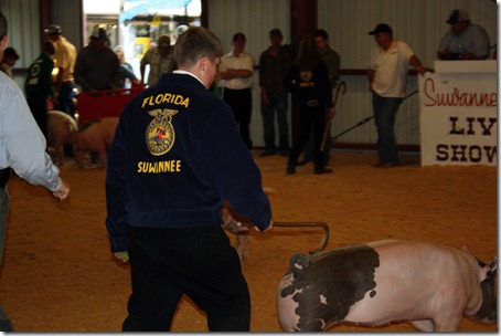 Hog Show 027 - Copy Hog Show 027 - Copy