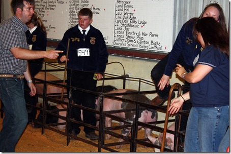 Hog Show 029 - Copy