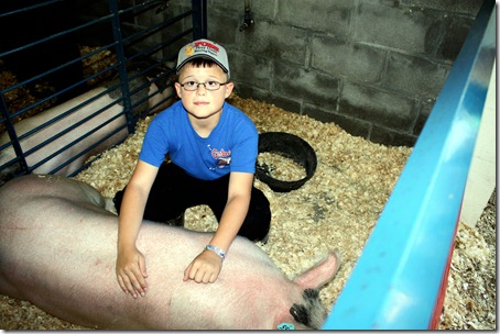 Hog Show 043 - Copy Hog Show 043 - Copy
