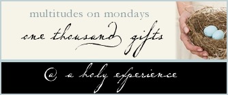 [multitudesonmondaysbutton22.jpg]