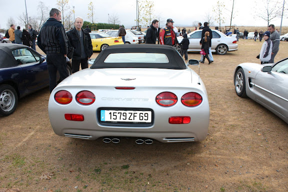http://lh3.ggpht.com/_fG2B3AbTTUA/SSBYZgIkeUI/AAAAAAAAAhw/EsOeeVpA1lU/s576/Picture%20115.jpg