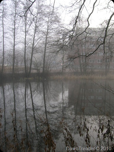 DSCN0162