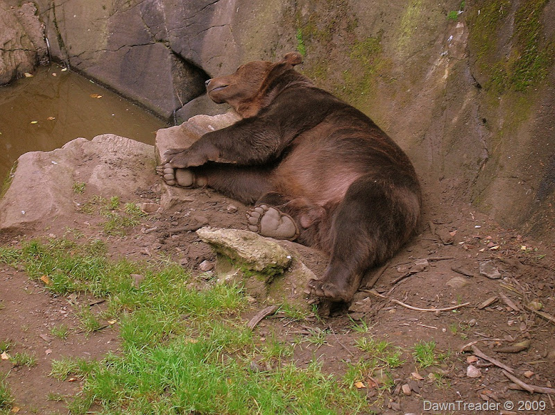 DSCN2214-1