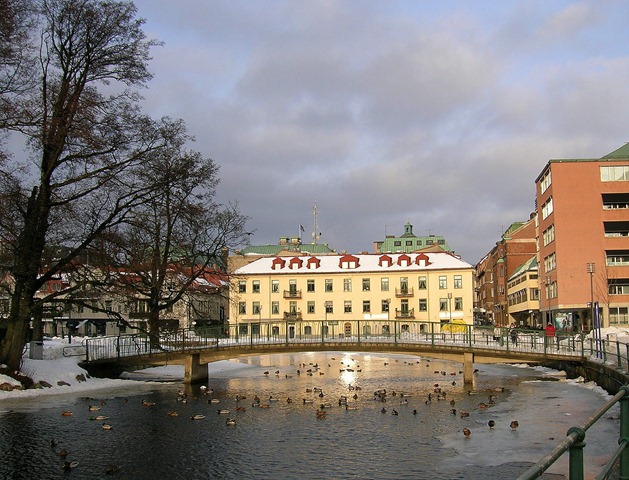 DSCN1384-1