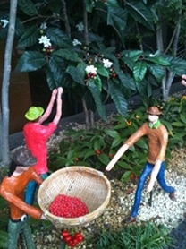 IMG_0121 IMG_0121