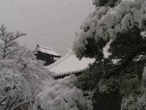 IMG_0145 IMG_0145