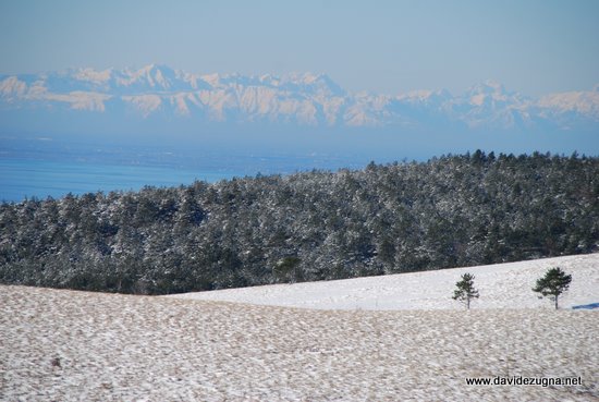 Golfo di Trieste