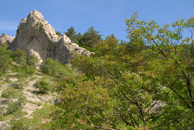 Val Rosandra