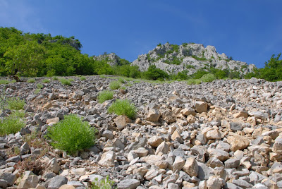 Val Rosandra