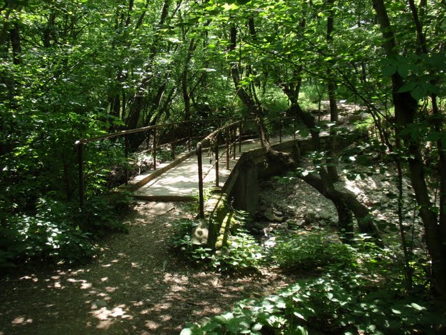 Bottazzo