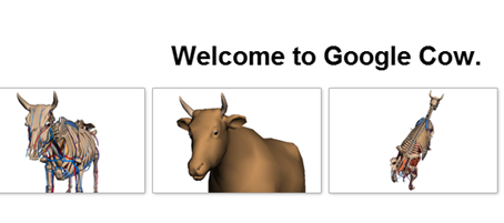 google cow