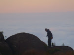 SS852433.JPG