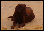 Slide7.JPG - MAIS UMA PARTICIPANTE