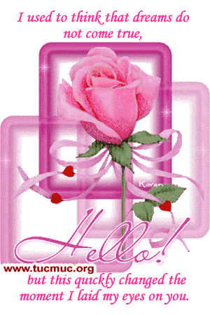Flowers for my Friends  Image - 6