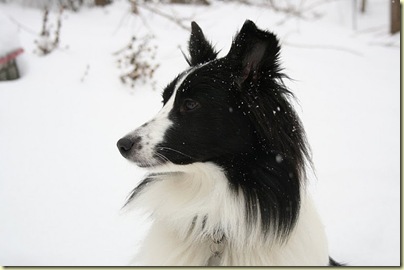 IMG_2218 IMG_2218