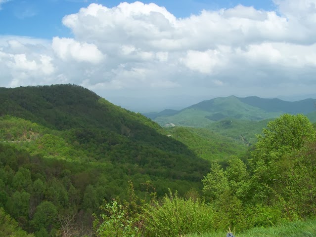 [100_76963.jpg]